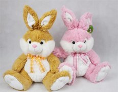 ����Ј�ُ�zCE�J(r��n)�C